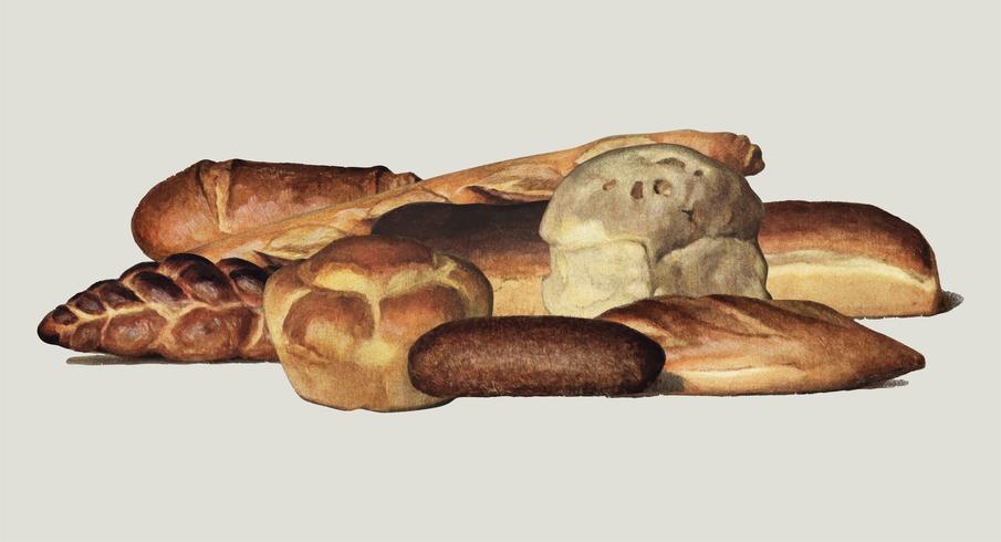 The Grocer&#39;s Encyclopedia (1911), une collection vintage de différents types de pains cuits au four. Augmenté numériquement par rawpixel. vecteur