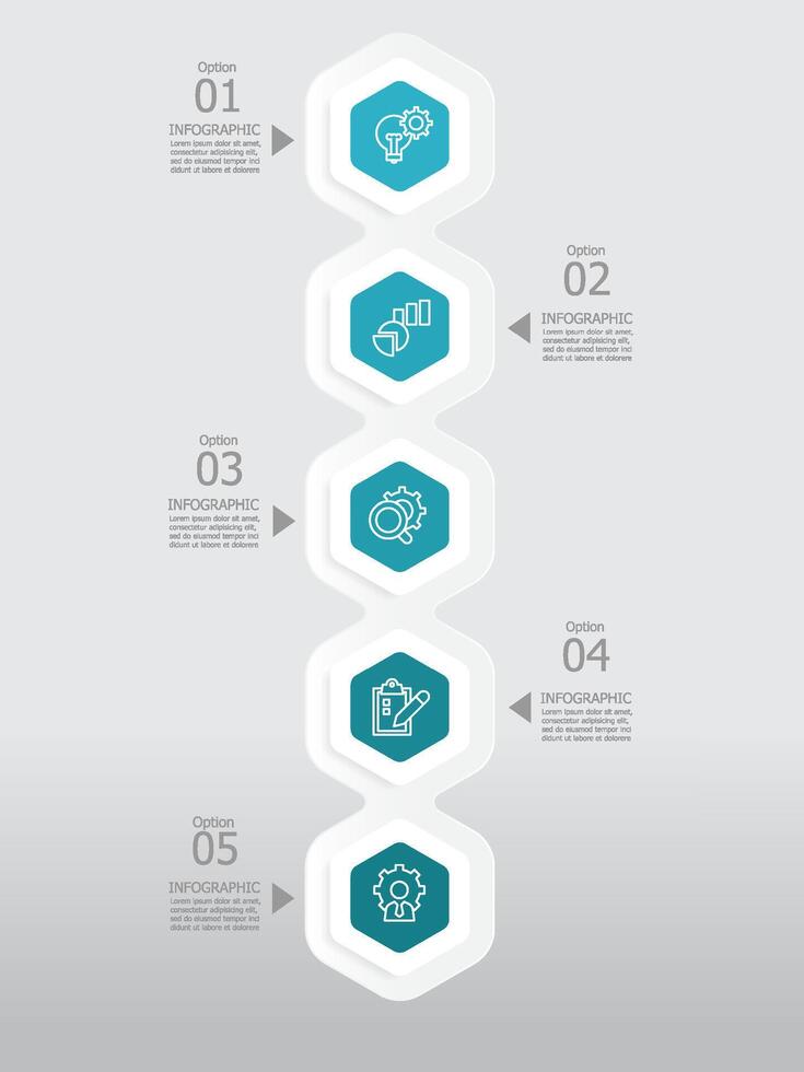 verticale rond hexagone pas chronologie infographie élément rapport Contexte avec affaires ligne icône 5 pas vecteur