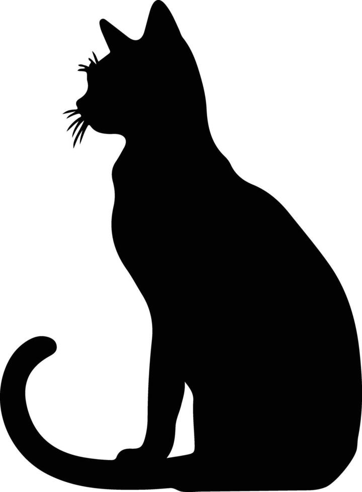 Oriental bicolore chat noir silhouette vecteur