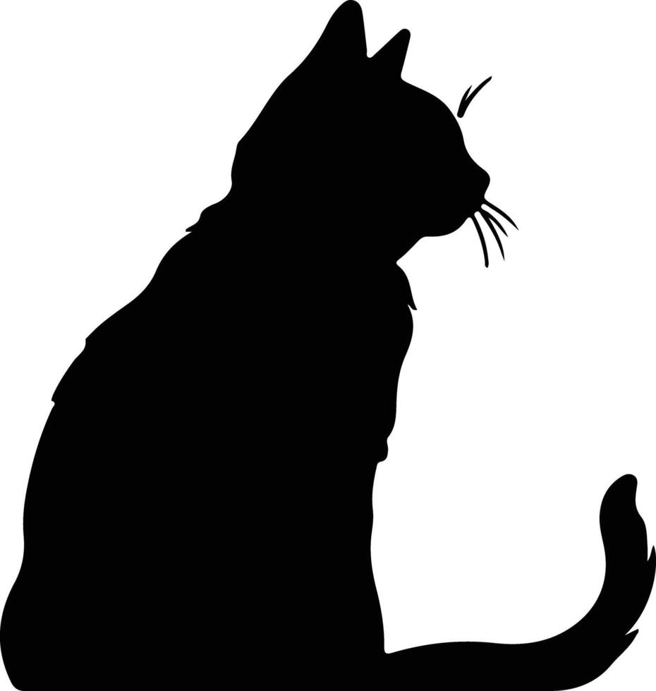 Britanique cheveux courts chat silhouette portrait vecteur