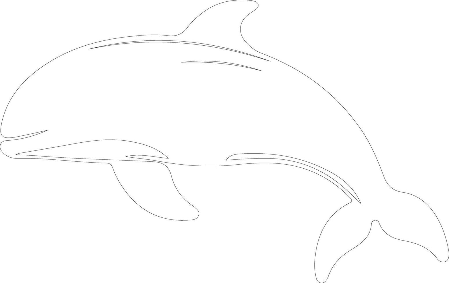 béluga baleine contour silhouette vecteur