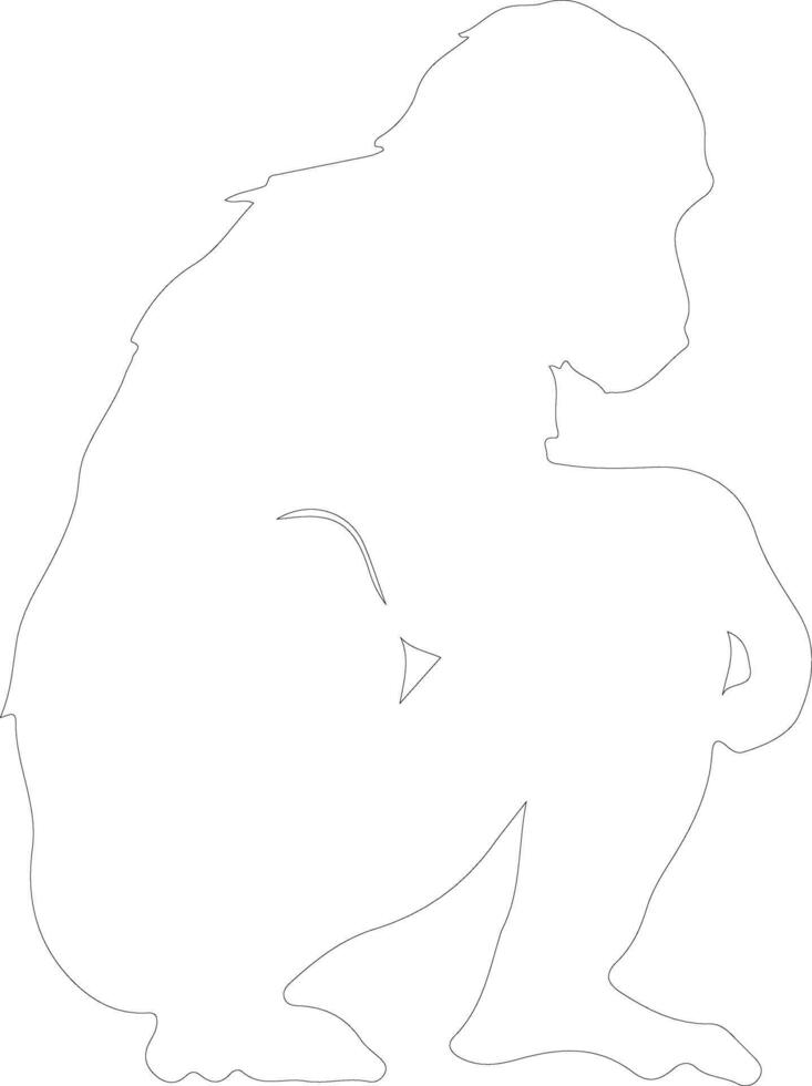 bonobo contour silhouette vecteur