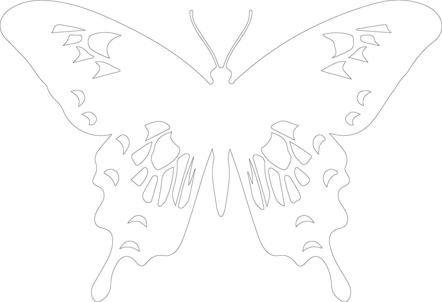 tigre machaon papillon contour silhouette vecteur