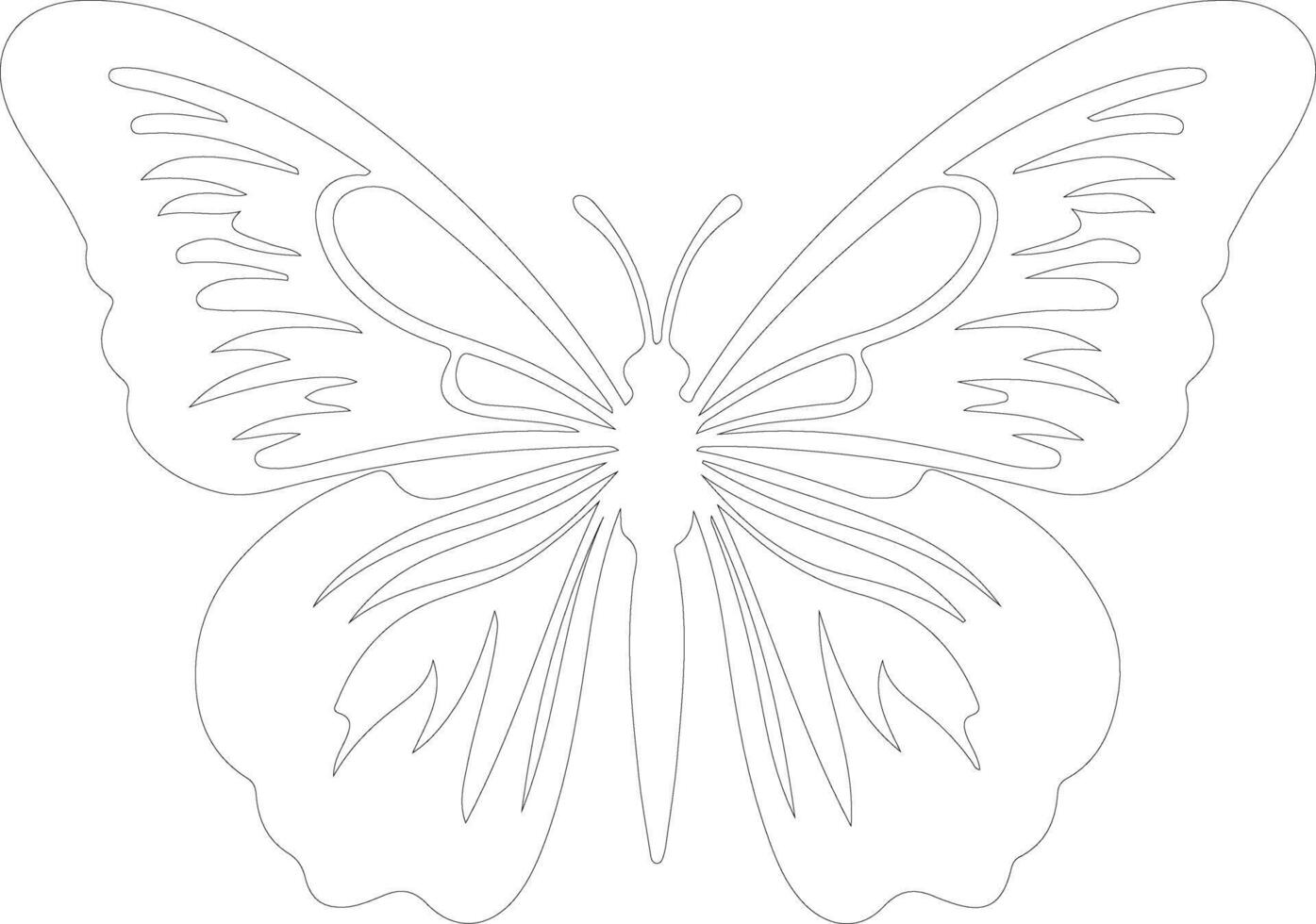 zèbre longwing papillon contour silhouette vecteur