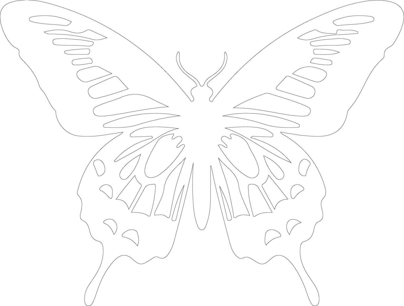 zèbre machaon papillon contour silhouette vecteur