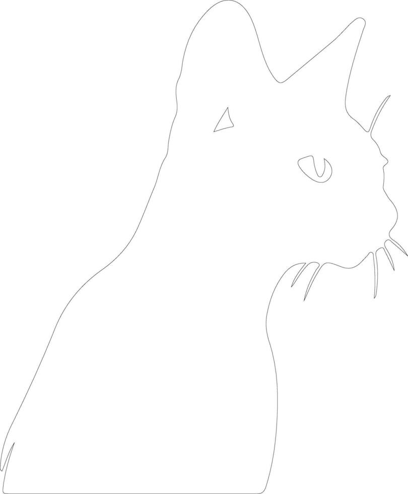 Siamois chat contour silhouette vecteur