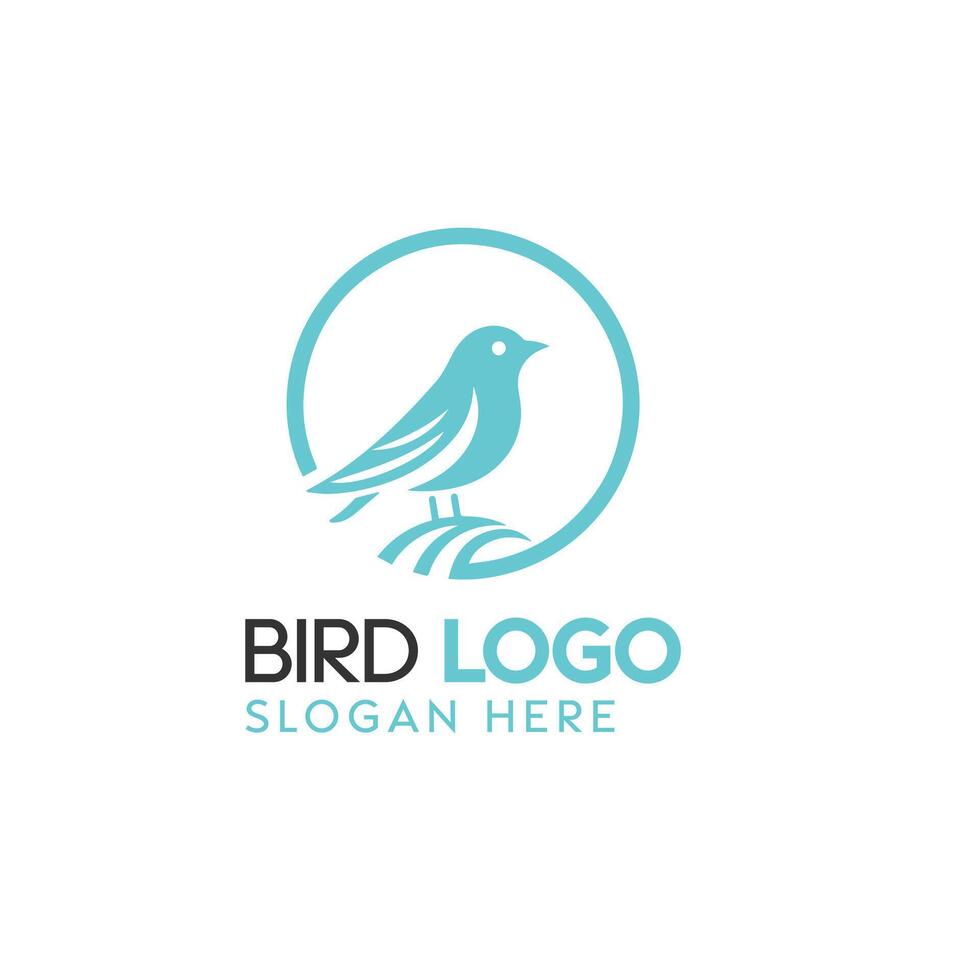 élégant turquoise oiseau logo conception pour moderne marque identité sur blanc Contexte vecteur