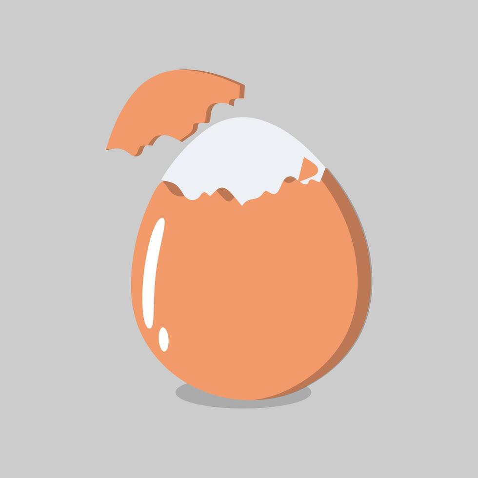 Oeuf vecteur illustration, collection de ensemble, cassé, frit, jaunes, coquilles d'œufs et bouilli des œufs. entier et cassé blanc et Jaune Frais brut des œufs.