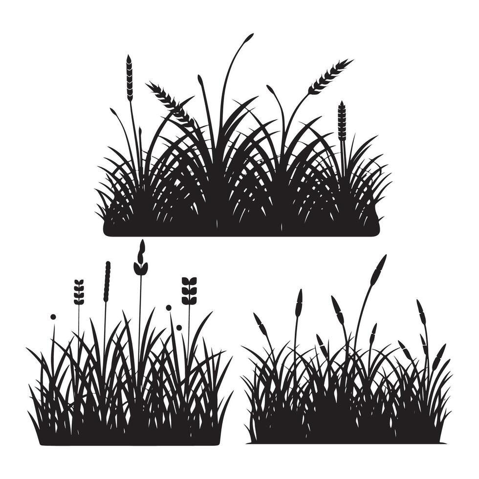 collection de silhouettes de bordure d'herbe noire vecteur