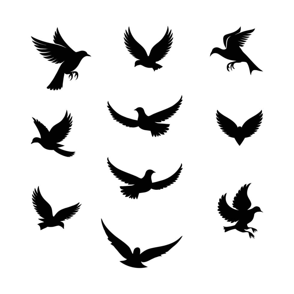 vecteur des oiseaux silhouette collection blanc Contexte.