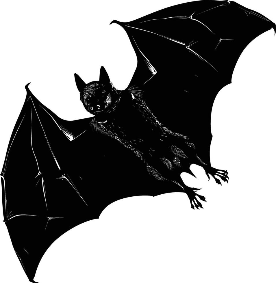 ai généré silhouette chauve souris animal noir Couleur seulement plein corps vecteur