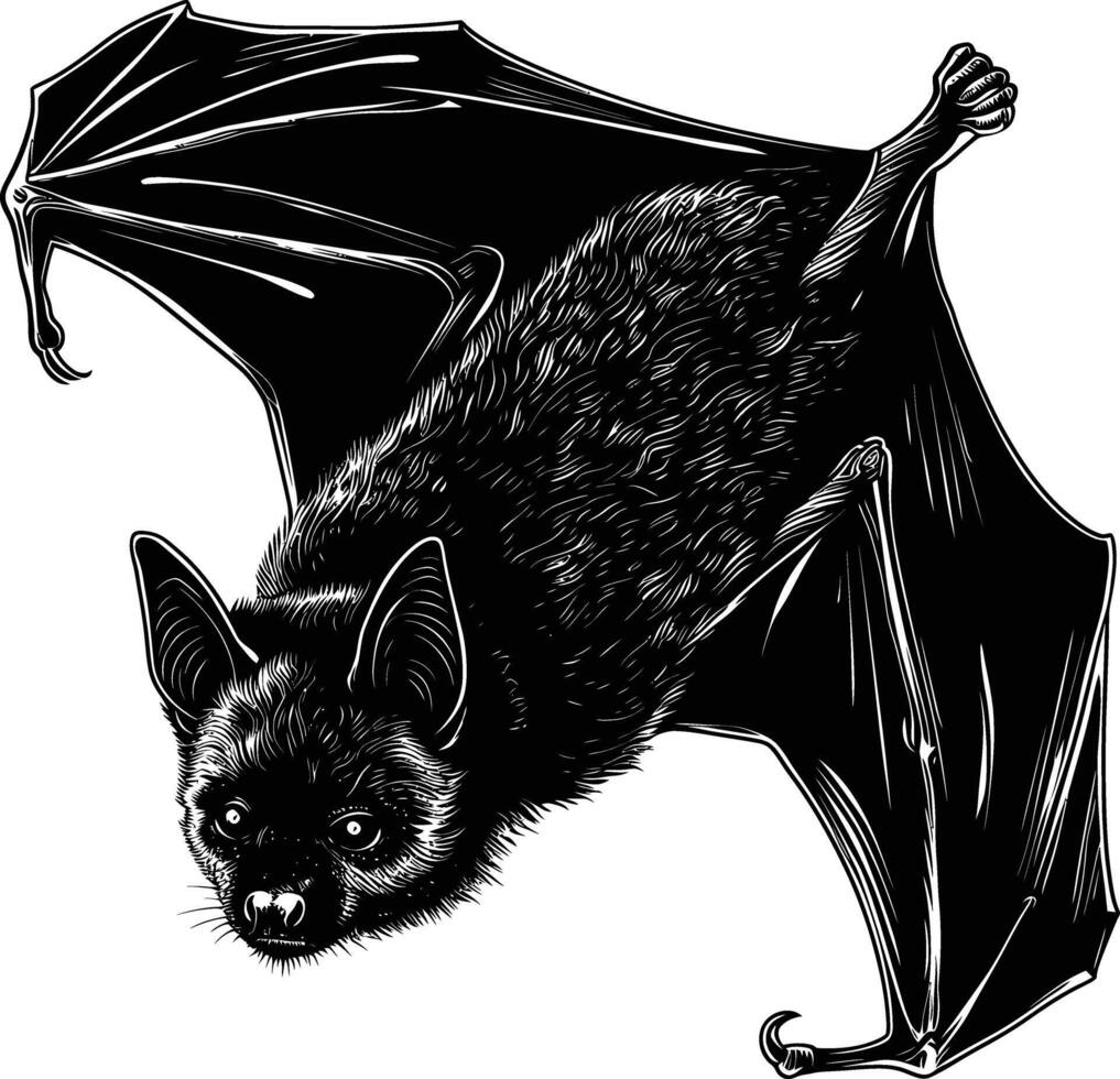 ai généré silhouette chauve souris animal noir Couleur seulement plein corps vecteur