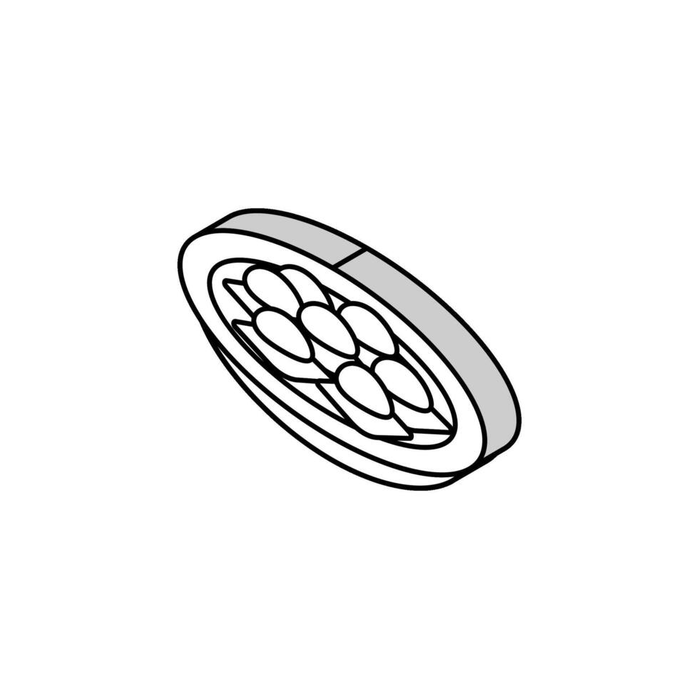 Ravioli Pâtes italien cuisine isométrique icône vecteur illustration
