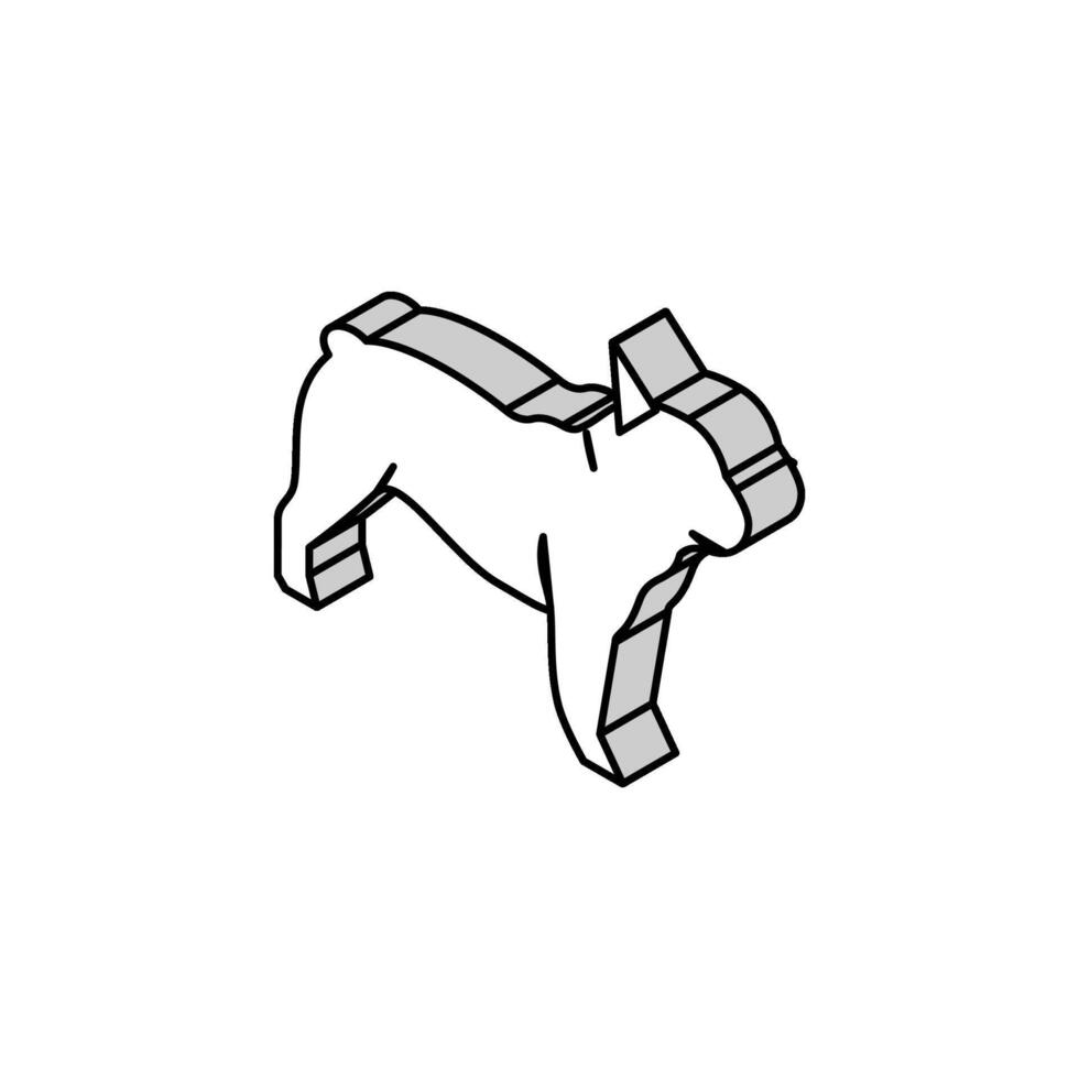 français bouledogue chien isométrique icône vecteur illustration