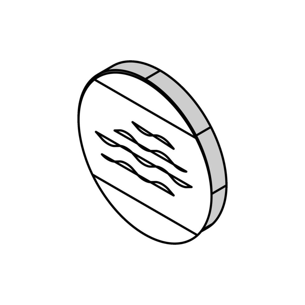 sec peau isométrique icône vecteur illustration