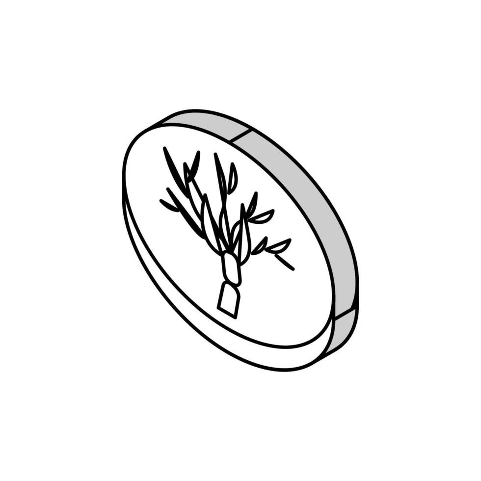 pénicillium moule champignons isométrique icône vecteur illustration