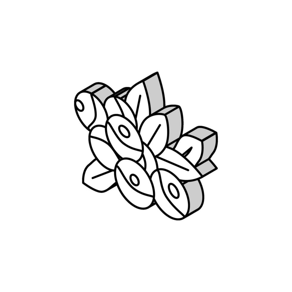 canneberge baie isométrique icône vecteur illustration
