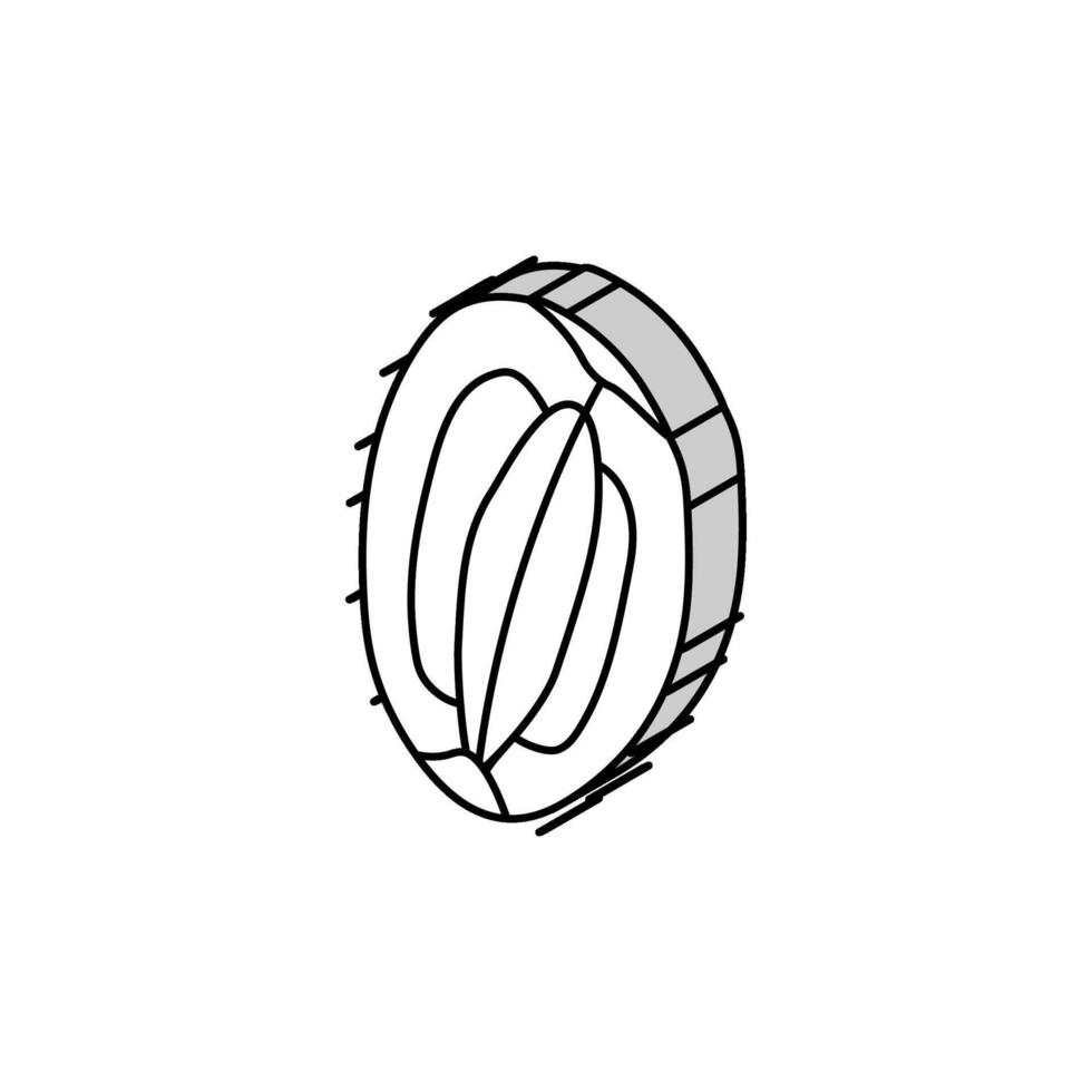 Couper fruit kiwi isométrique icône vecteur illustration