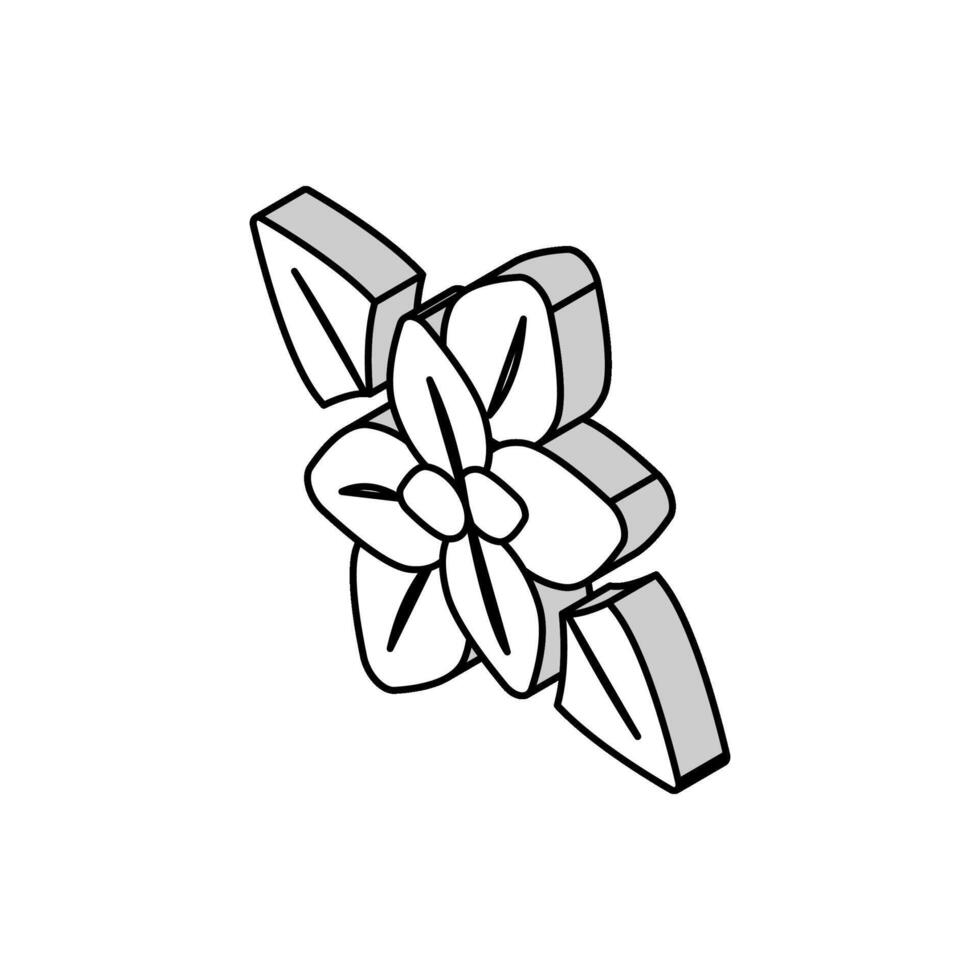 menthe poivrée aromathérapie isométrique icône vecteur illustration