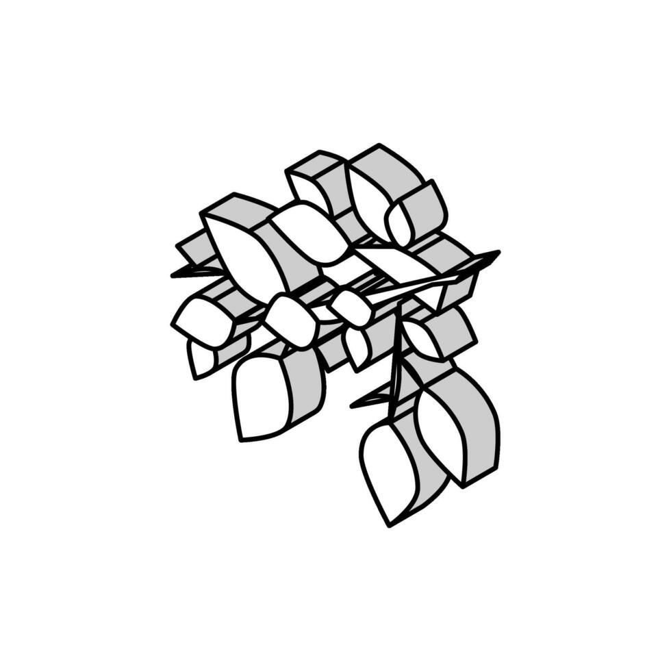 branche feuille isométrique icône vecteur illustration