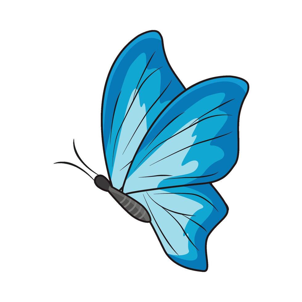 illustration de papillon vecteur