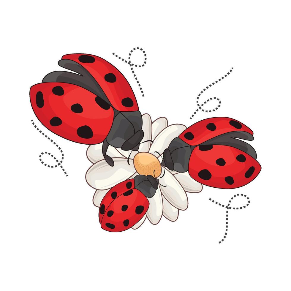 illustration de coccinelle avec fleur vecteur