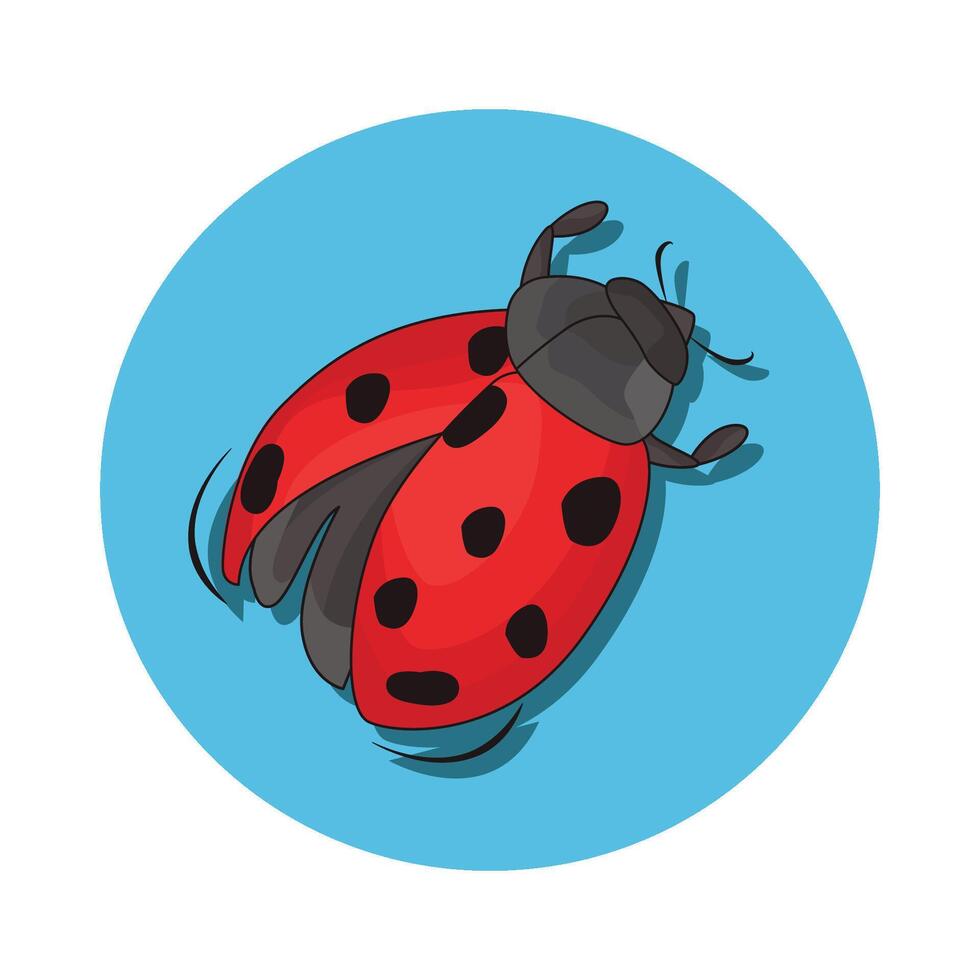 illustration de coccinelle vecteur