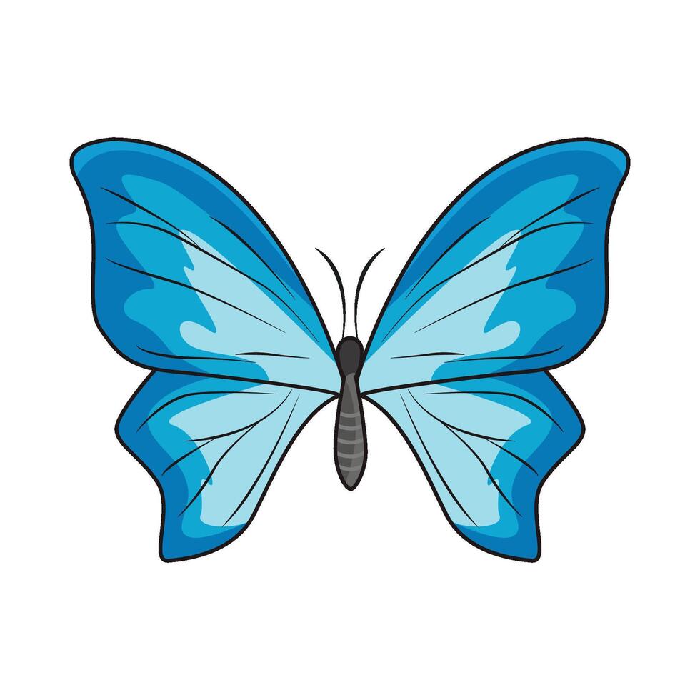 illustration de papillon vecteur