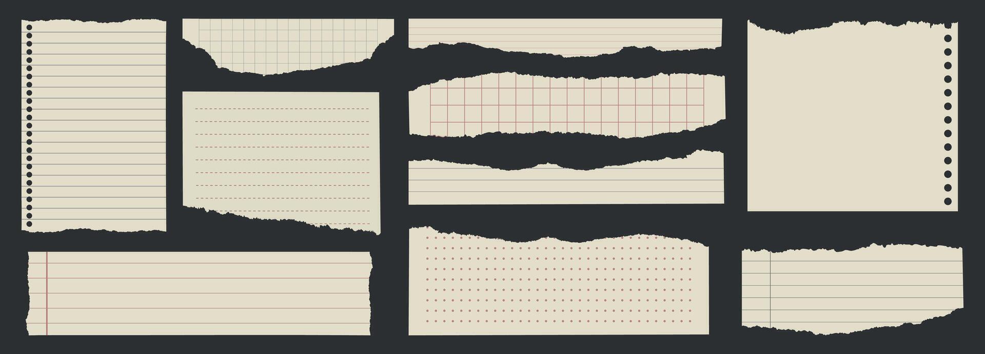 collection de déchiré papier des cahiers. réaliste restes, à carreaux des cahiers, Remarques, déchiré carnet de notes, déchiré pages. moderne vecteur illustration.