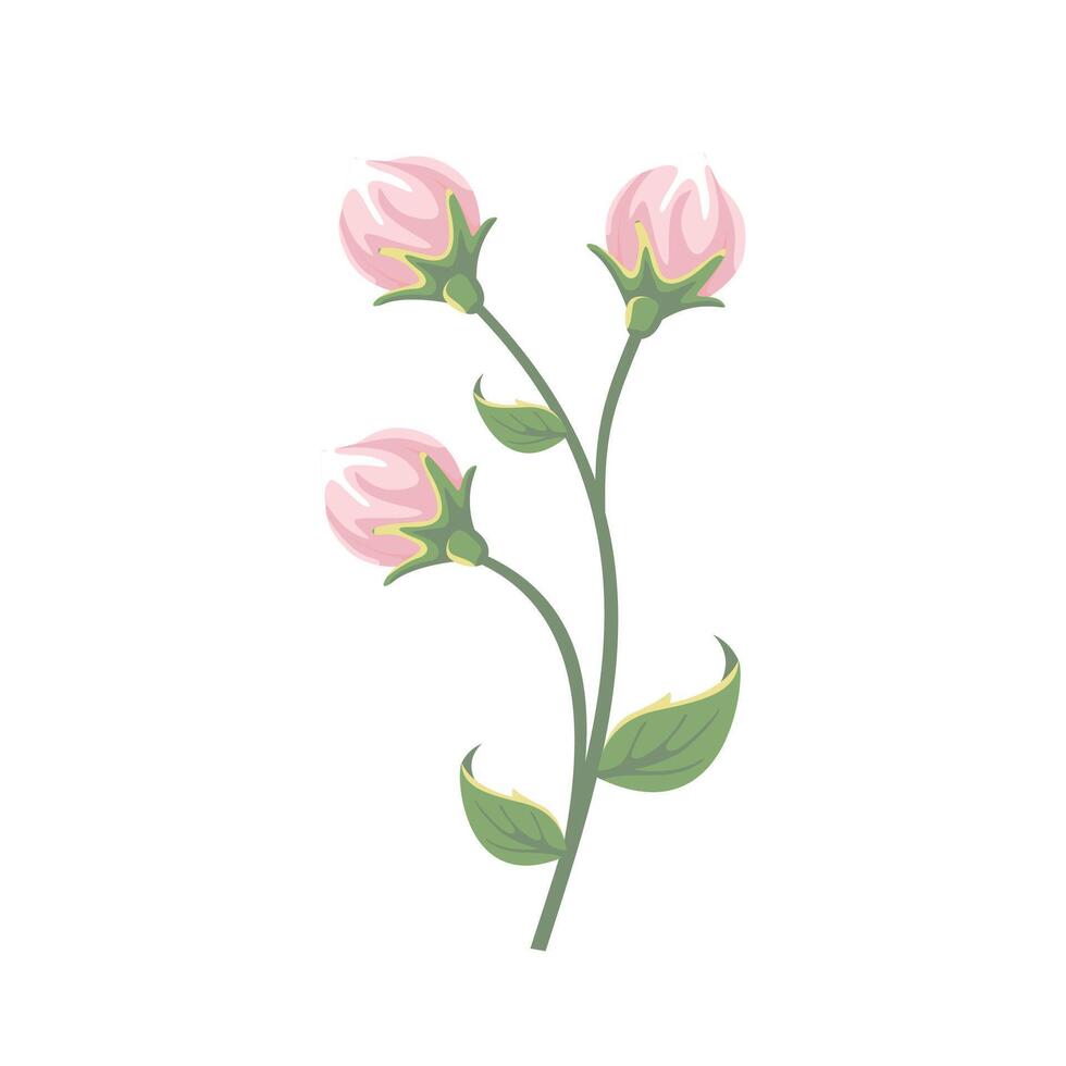 rose pivoine fleur bourgeons icône vecteur
