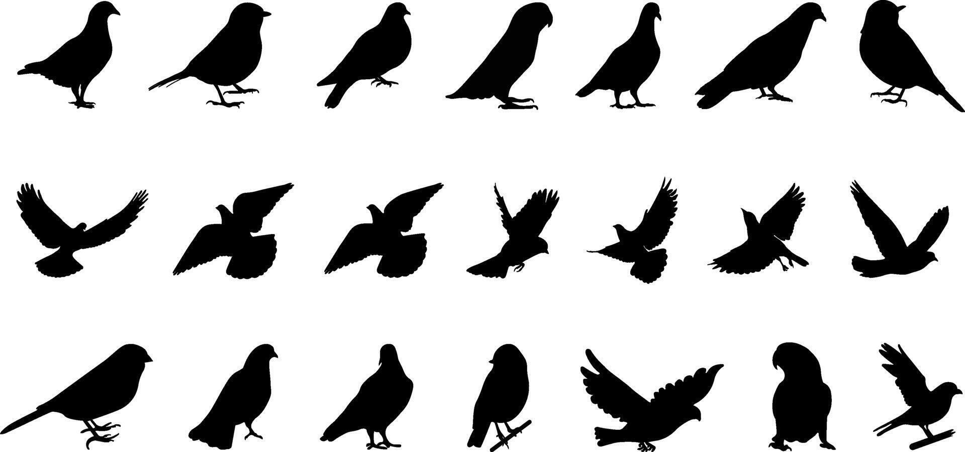 ensemble de silhouettes de des oiseaux vecteur