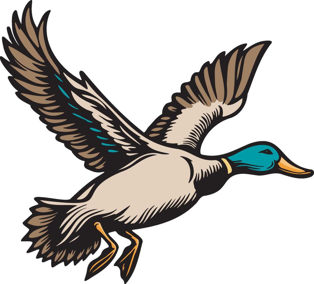 sauvage canard illustration. vecteur