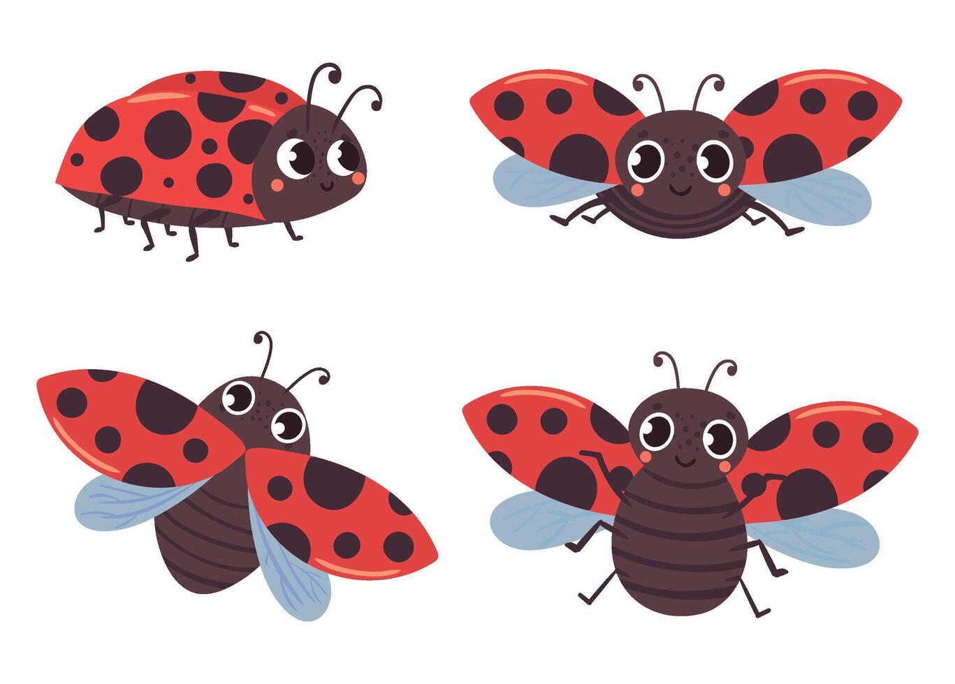 dessin animé coccinelle insectes avec rouge noir ailes vecteur