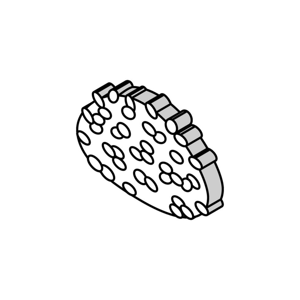 arborio riz isométrique icône vecteur illustration