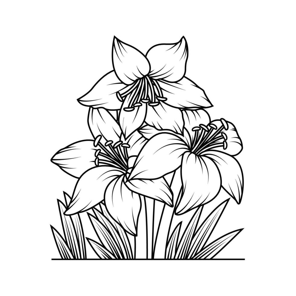 le illustration de amaryllis fleur vecteur