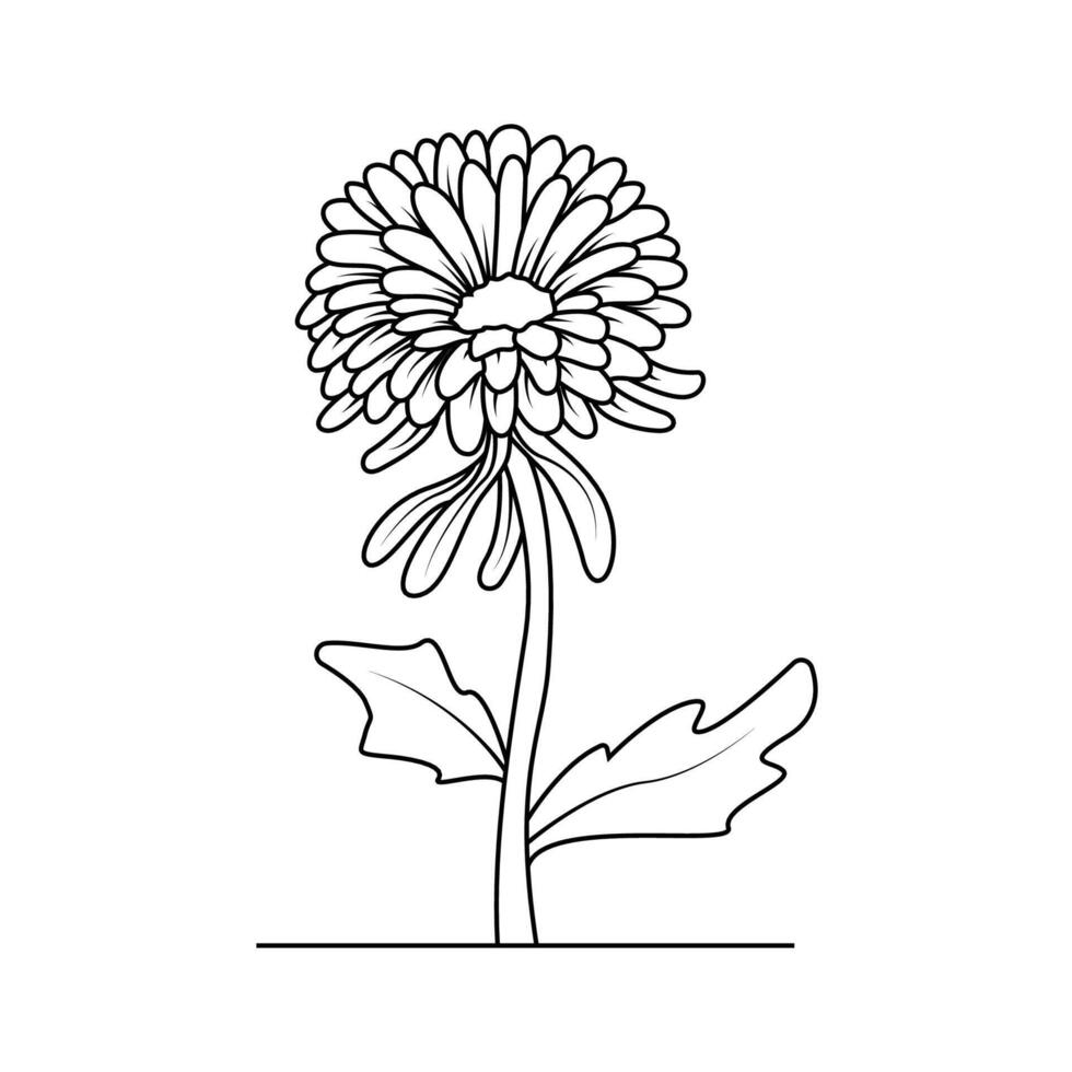 le illustration de chrysanthèmes fleur vecteur