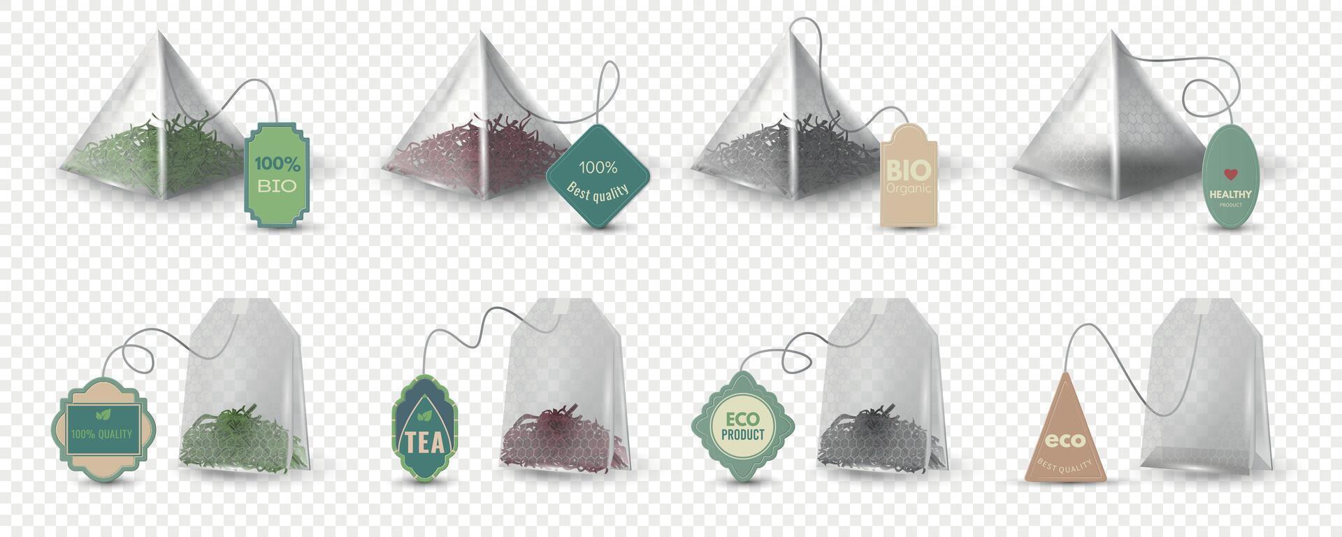 réaliste pyramide et rectangulaire vert, rouge et noir thé Sacs avec Mots clés. vide 3d sachet de thé maquette avec Étiquettes pour à base de plantes boisson vecteur ensemble