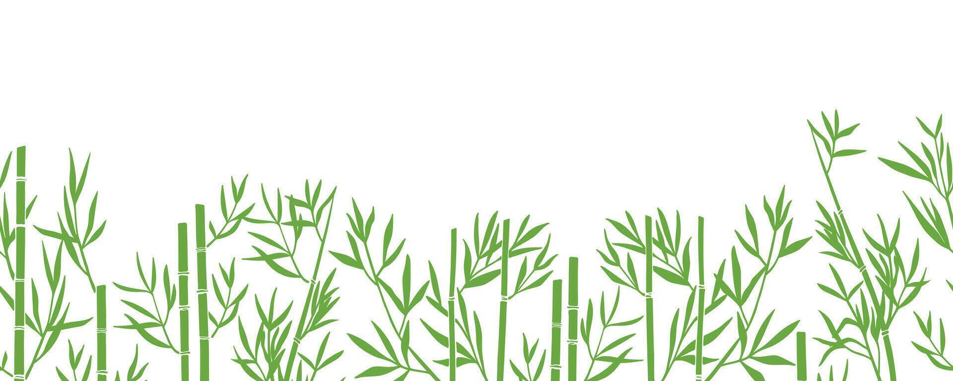 vecteur bambou silhouette sans couture frontière. vert bambou tiges sur blanc Contexte