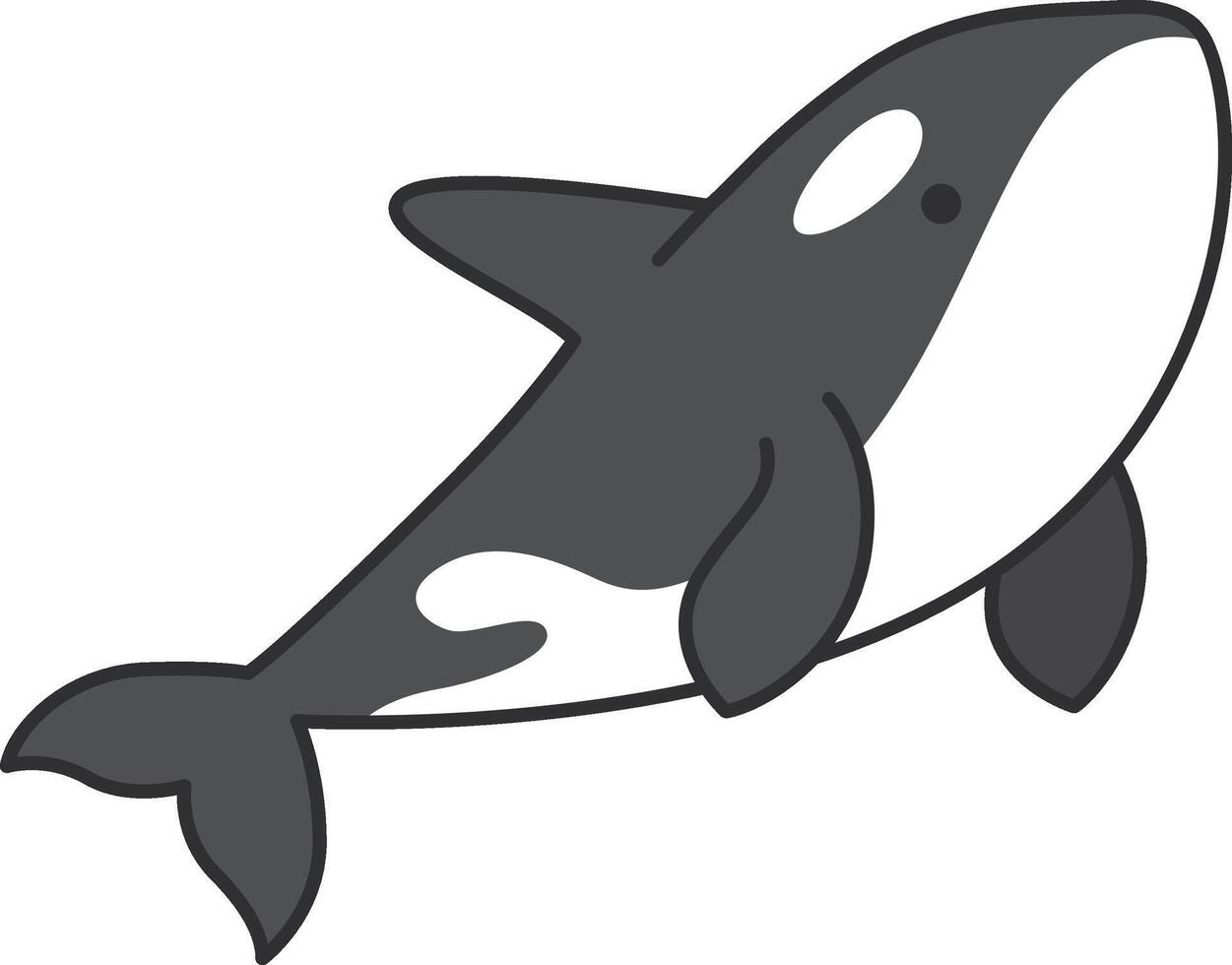 mignonne dessin animé tueur baleine isolé sur blanc Contexte. vecteur illustration.