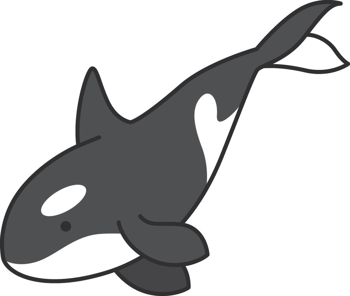 dessin animé tueur baleine isolé sur blanc Contexte. vecteur illustration dans plat style.