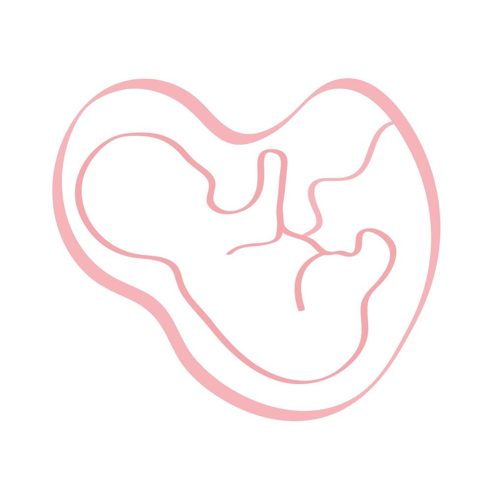fœtus dans le placenta vecteur