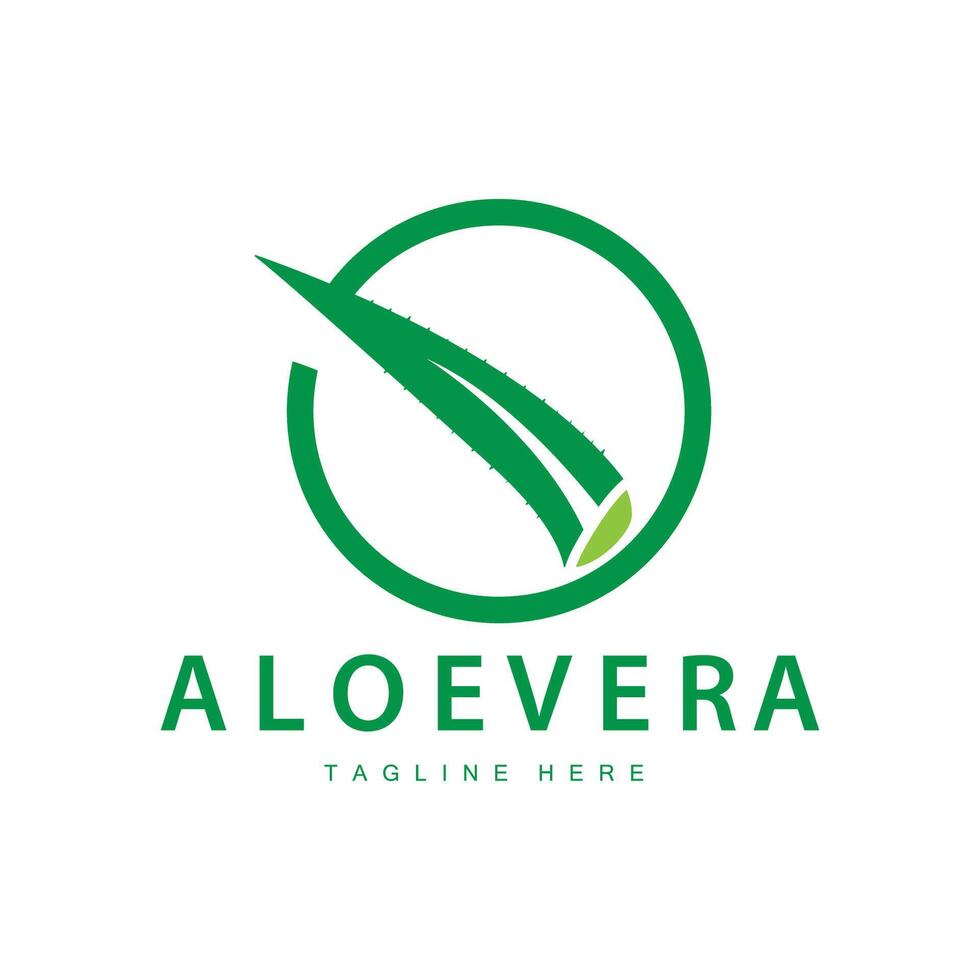 aloès Vera logo cosmétique conception Facile vert plante santé symbole vecteur illustration