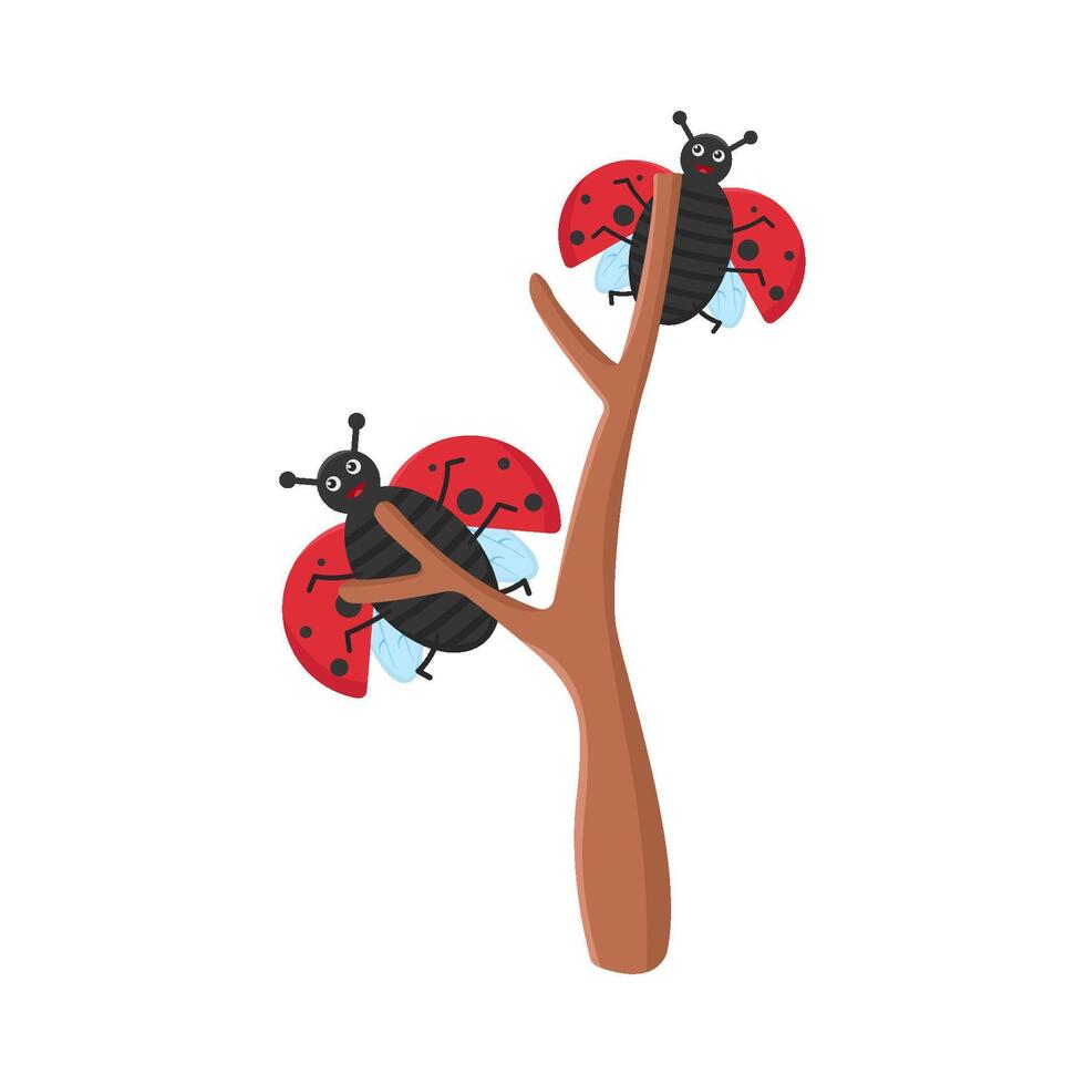 illustration de coccinelle vecteur