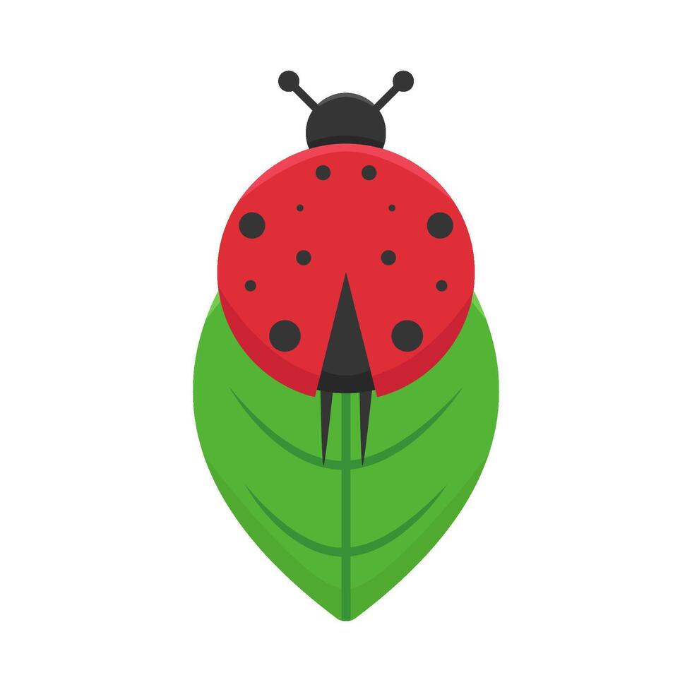 illustration de coccinelle vecteur