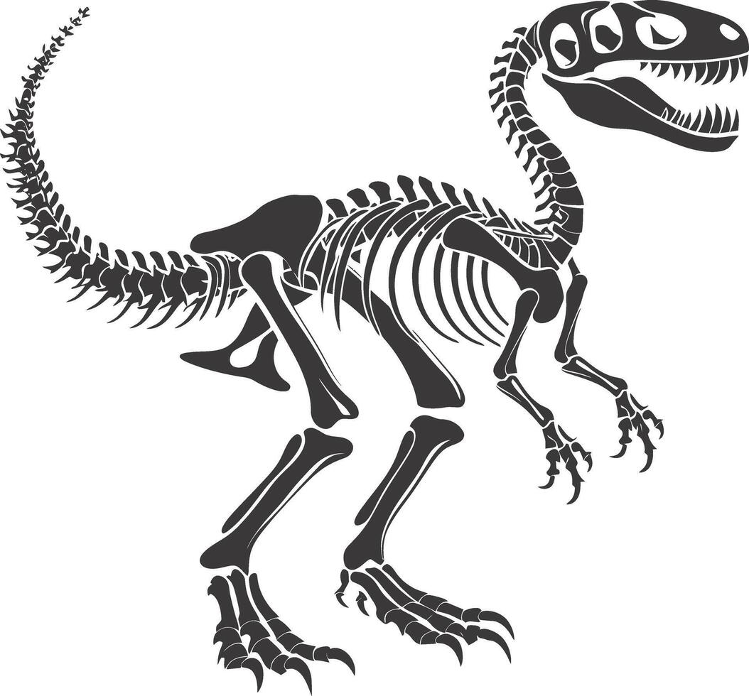 ai généré silhouette dinosaure squelette noir Couleur seulement vecteur