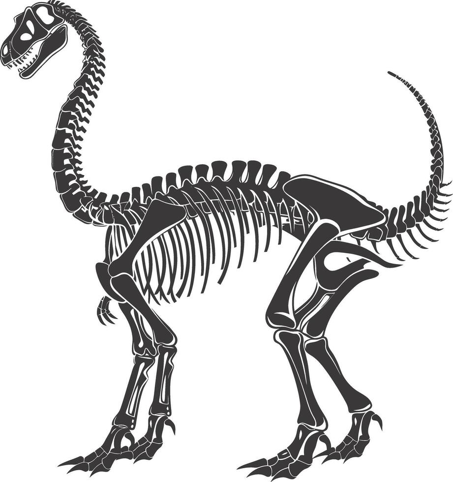 ai généré silhouette dinosaure squelette noir Couleur seulement vecteur