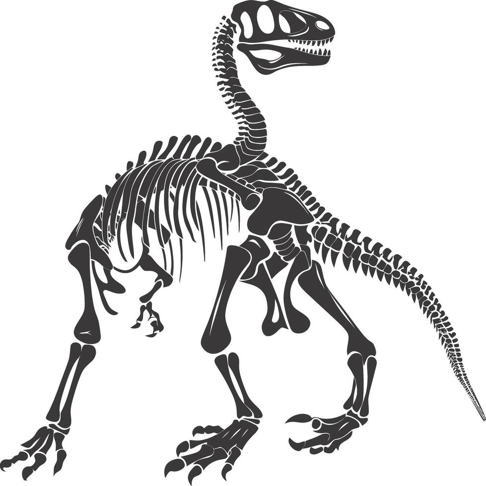 ai généré silhouette dinosaure squelette noir Couleur seulement vecteur