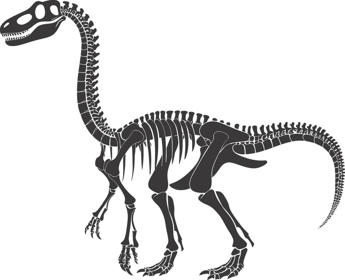 ai généré silhouette dinosaure squelette noir Couleur seulement vecteur