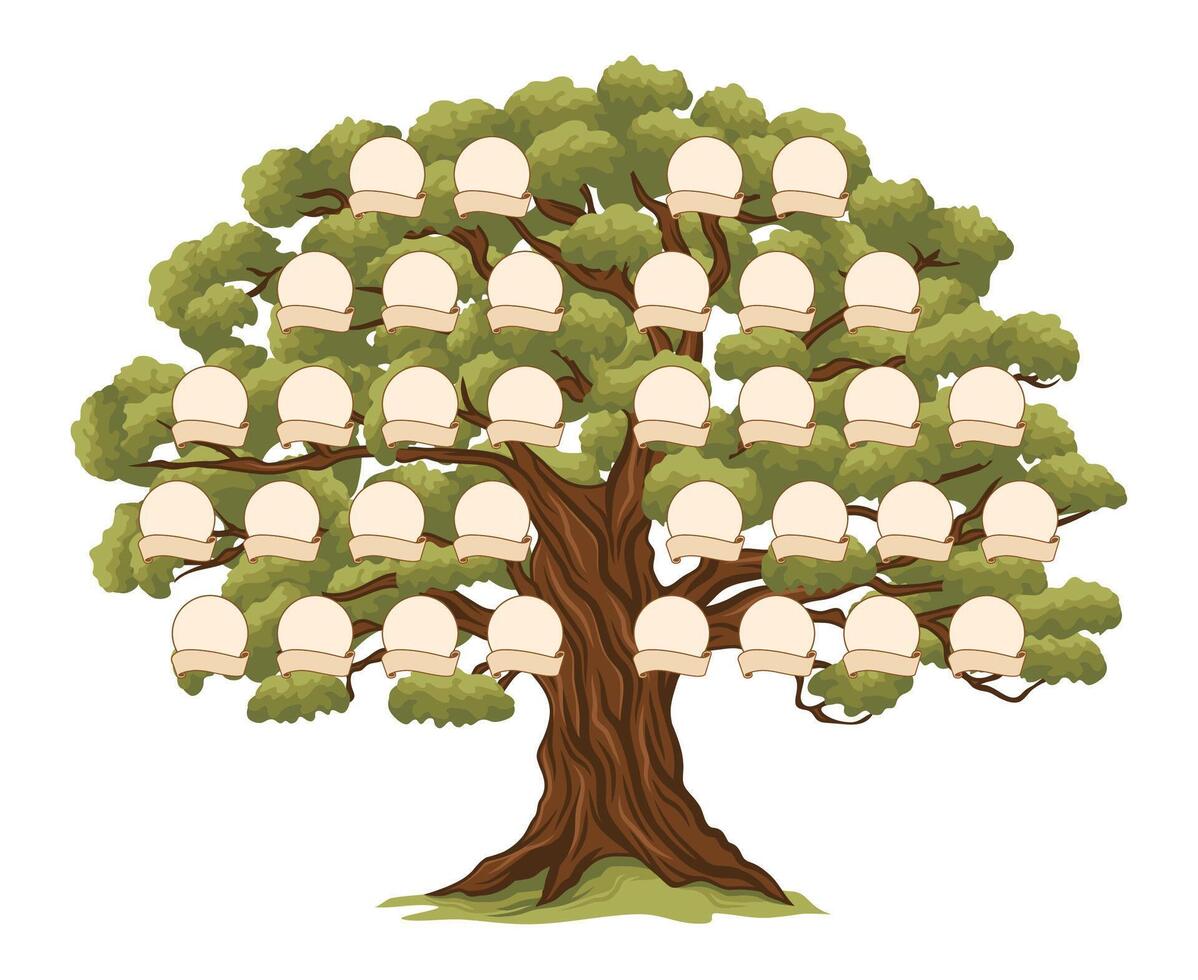 généalogie famille arbre photo cadres ascendance branche vecteur