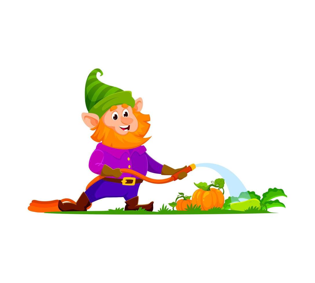 dessin animé gnome jardinier arrosage mûr des légumes vecteur
